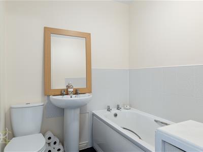 Picture 13